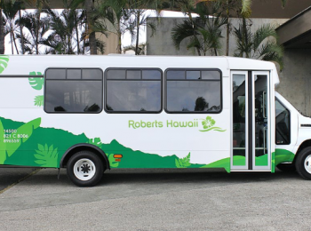 A shuttle bus with "Roberts Hawaii" branding and green foliage graphics is parked near a building with palm trees.