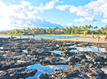 The image shows a rocky shoreline with tide pools, people exploring, and a distant view of a tropical beach with palm trees under a clear blue sky.