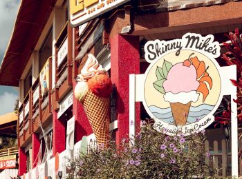 The image shows the exterior of an ice cream shop called "Skinny Mike's," with a large ice cream cone sign and plants in front of the building.