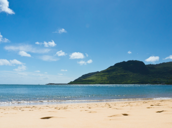 A serene beach scene featuring golden sand, calm ocean waters, a green hillside, and a clear blue sky with scattered clouds.