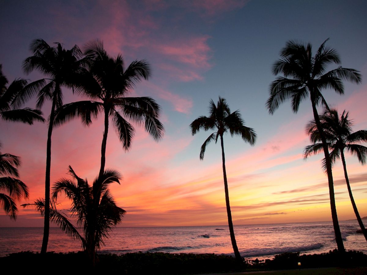 Palm trees silhouetted against a colorful sunset over an ocean horizon, creating a serene tropical paradise scene.
